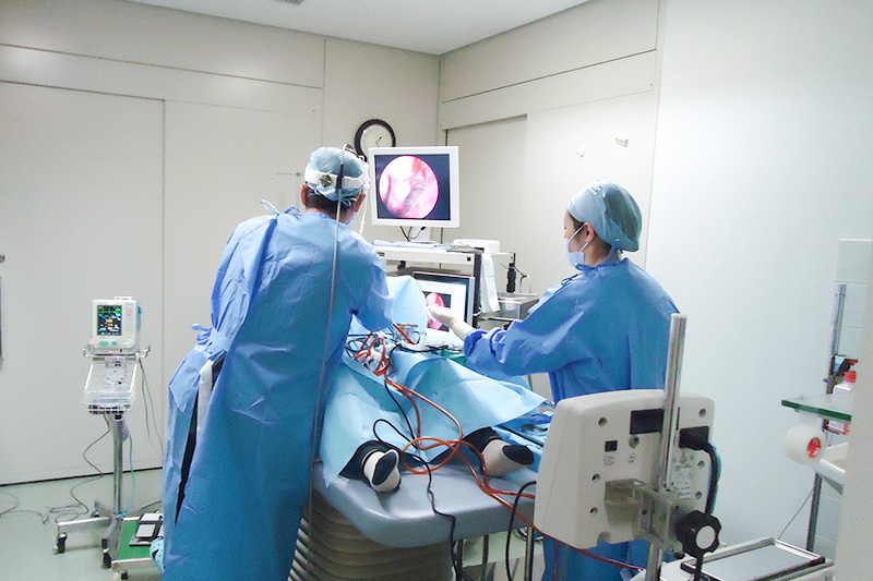 耳・鼻の日帰り手術が可能です